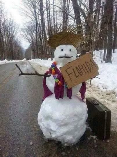 52 Winter Memes That Makes You Love Fall More