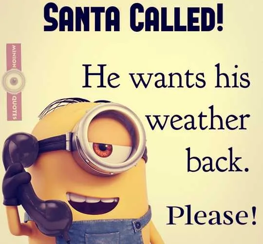 25 Really Funny Minion Quotes To Love And Share 25 Really Funny Minion Quotes To Love And Share