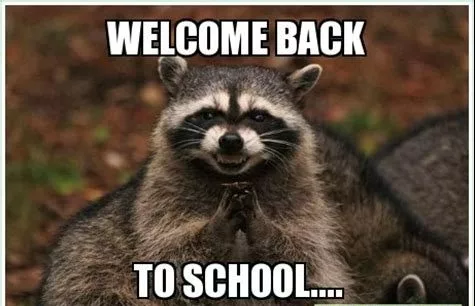 20 Funny Back To School Memes For Students