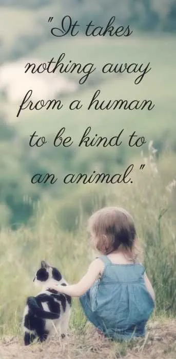 Inspirational Animal Love Quotes 23 Amazing Animal Lover Quotes For Dog And Animal Lovers