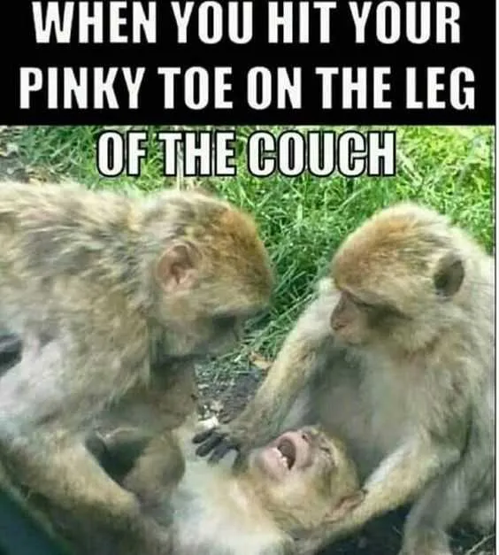 funny-meme-pinky-toe.jpg