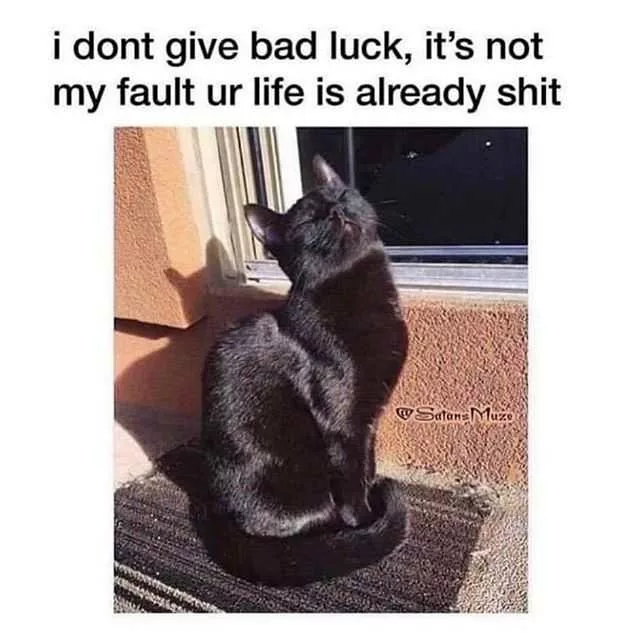 28 Funny Black Cat Memes That Prove Voids Are The Best Furry Friends