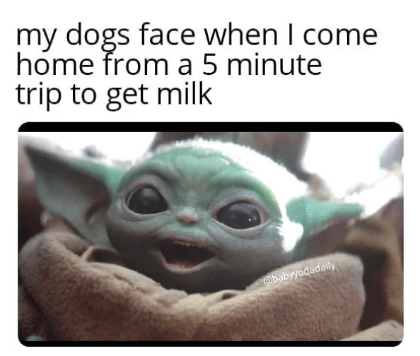 A Baby Yoda Meme Or 23 To Love And Celebrate The Mandalorian Season 2