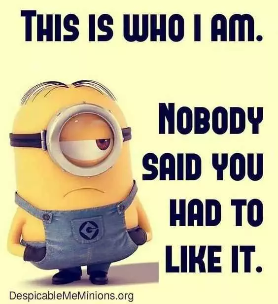 23 Gut-Busting Funny Minion Quotes | The Funny Beaver