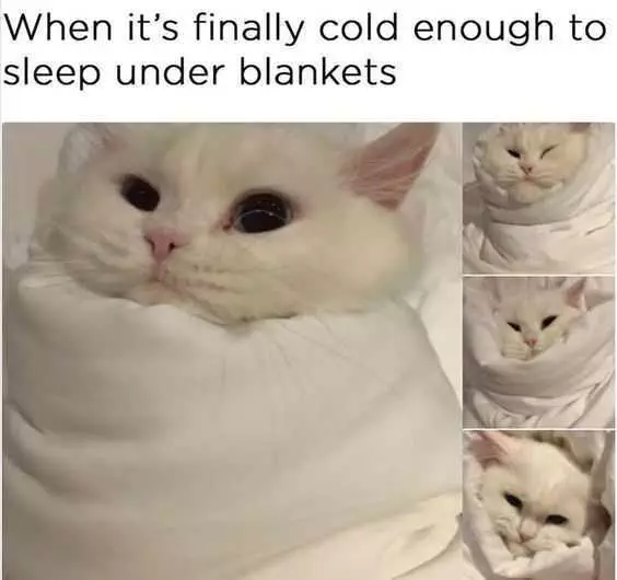 Sleep Blankets