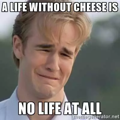 24 Funny Cheese Memes That Couldn't Be Any Cheddar