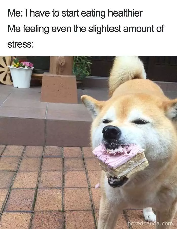 15 Relatable Hungry Memes Which Are Funny If You Haven't Failed Your Diet  Resolution