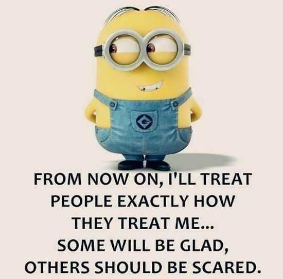 Funny Minions Pictures Of The Week