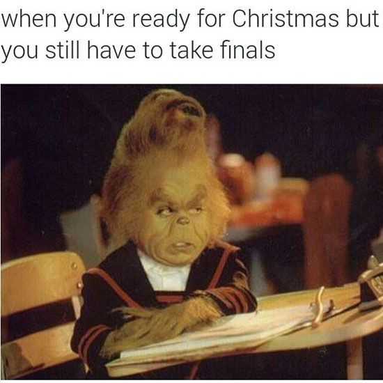 Finals Ready For Christmas