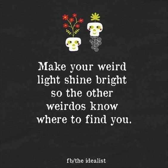 32 Brilliant Inspirational Quotes | The Funny Beaver