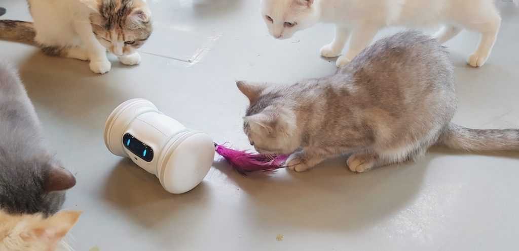 varram pet robot cat