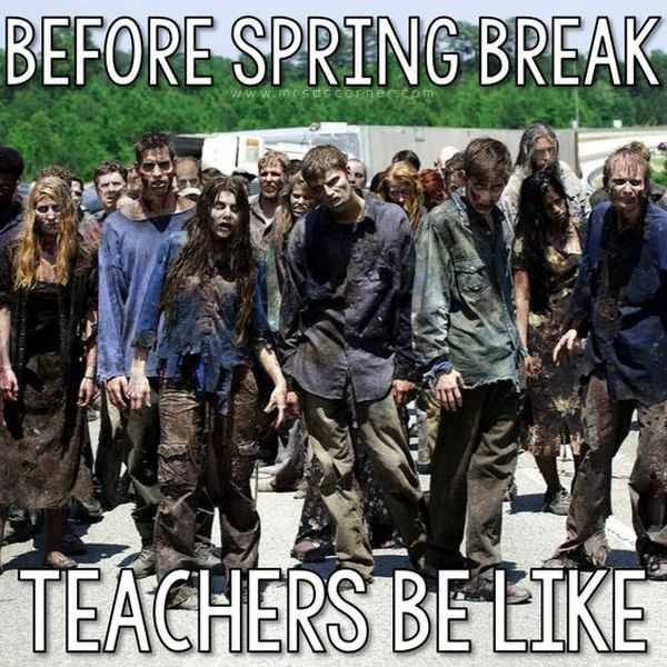 32 Funny Spring Break Memes | The Funny Beaver