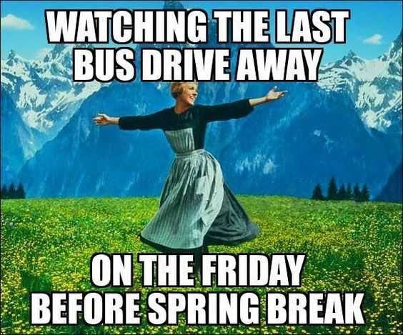spring break forever meme