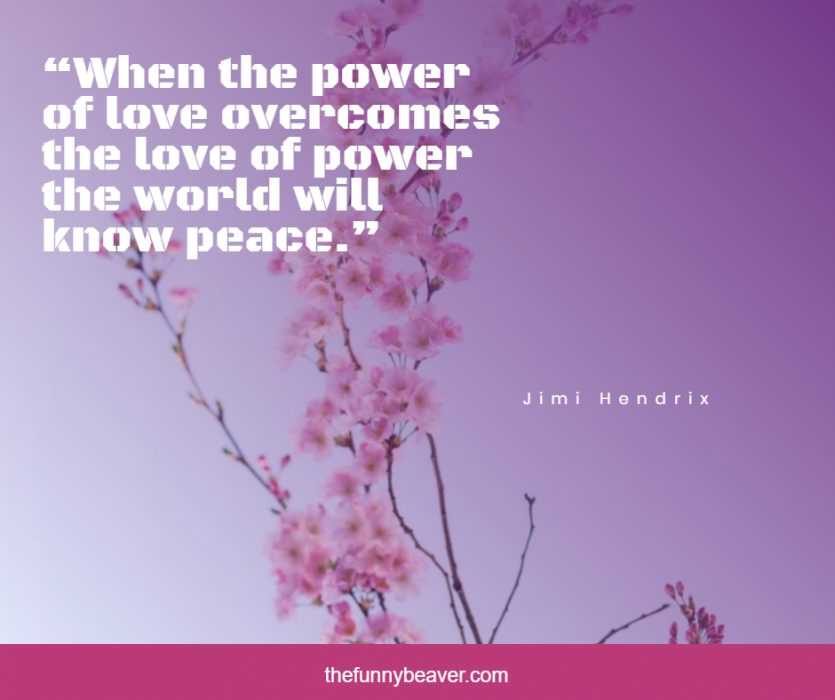 13 Inspiring Quotes On Peace | The Funny Beaver #peacequotes