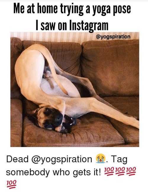 Short Yoga Quotes Funny Memes  International Society of Precision  Agriculture