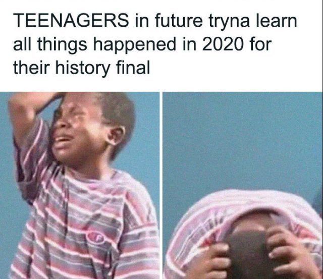 20 Of The Funniest Memes That Sum Up 2020