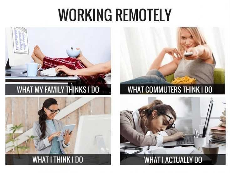 Funny Work From Home Memes | The Funny Beaver