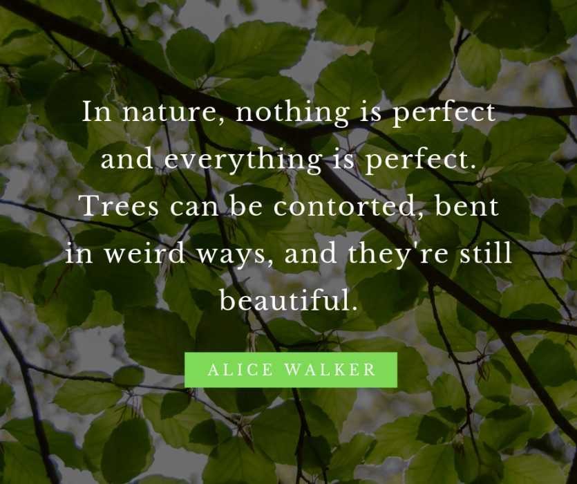 10-beautiful-quotes-for-nature-lovers