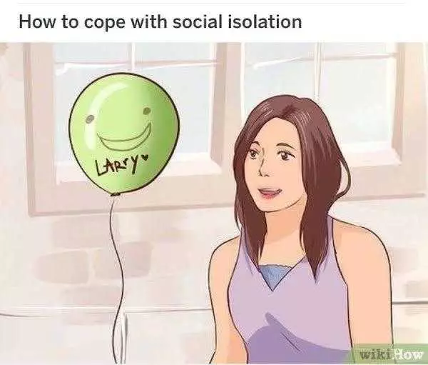 Wikihow Memes