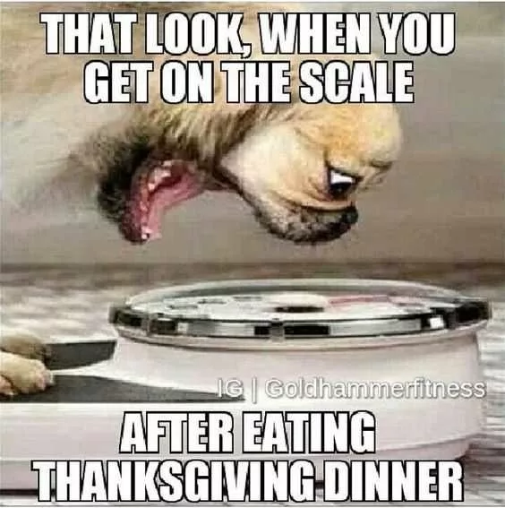 31 Funny Thanksgiving Memes To Get Ready For Turkey Day.