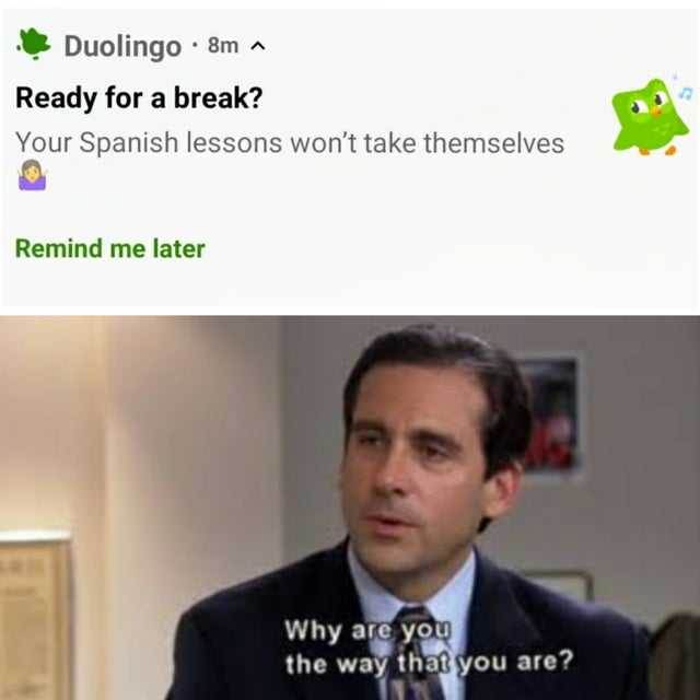 reddit is duolingo good