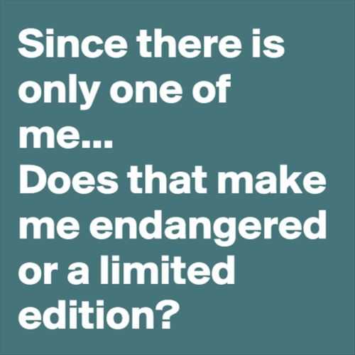 Funny Quotes 283 Funny Pictures And Quotes Of The Week 