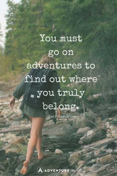 Amazing Motivational Quotes 502