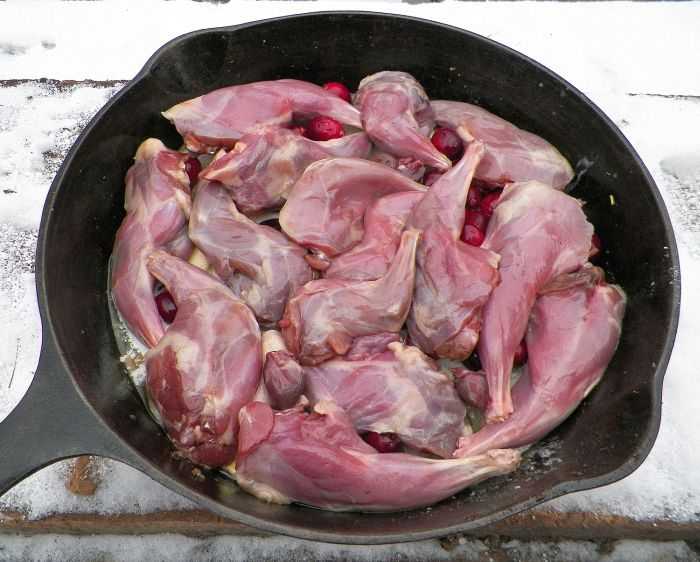 SquirrelInSkillet