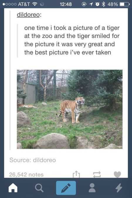 Really Funny Pictures 3001