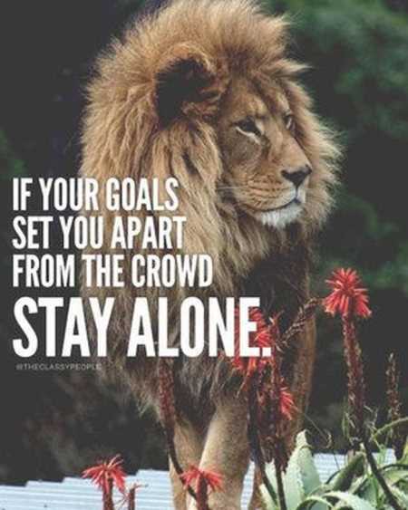 Motivational Quotes For Success 218