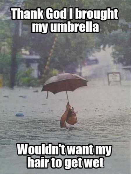 Hilarious Pictures 501