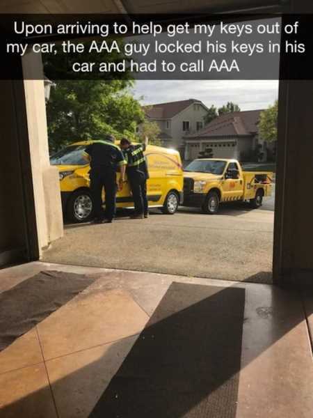 The Funniest Pics Ever 602