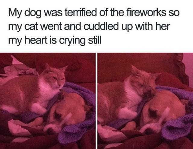 Image005