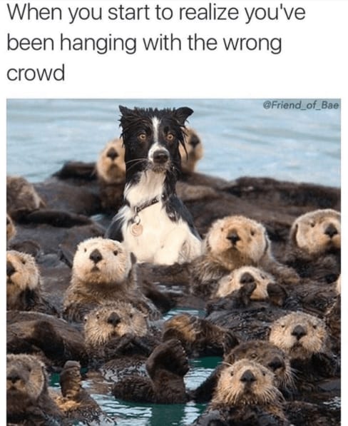 Image040