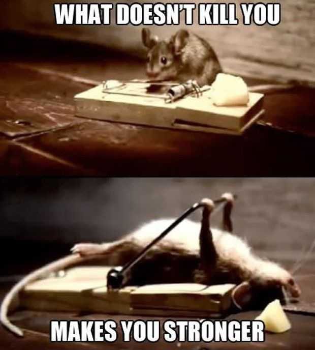 Image048