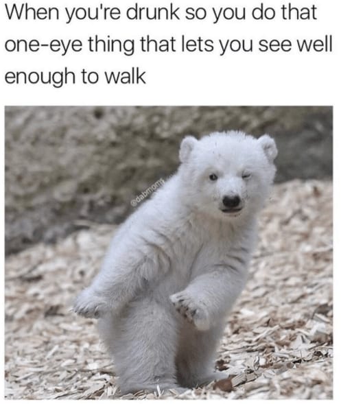 Image050