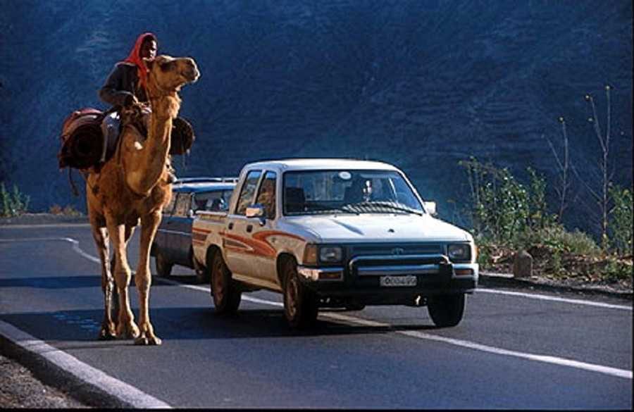 1 Eritreia