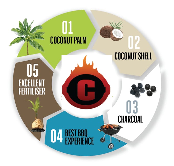 Eco Friendly Use Of Coconut Shell