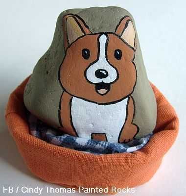 Rock Corgi