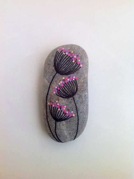 Rocks Pinkflowers
