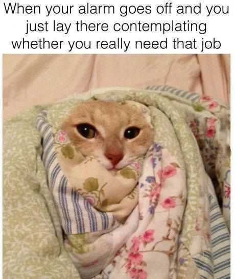 Sleep Alarmjob