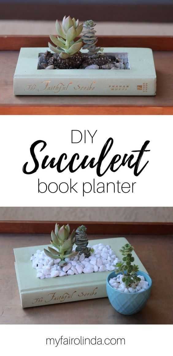 Diy Bookplanter