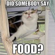 Food Didsomeonesay