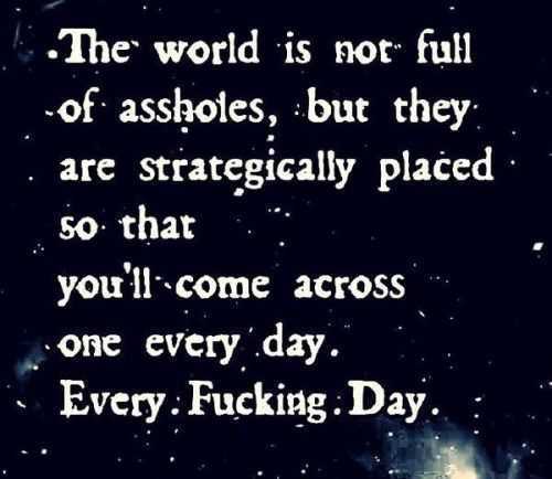 Funny Aholesday