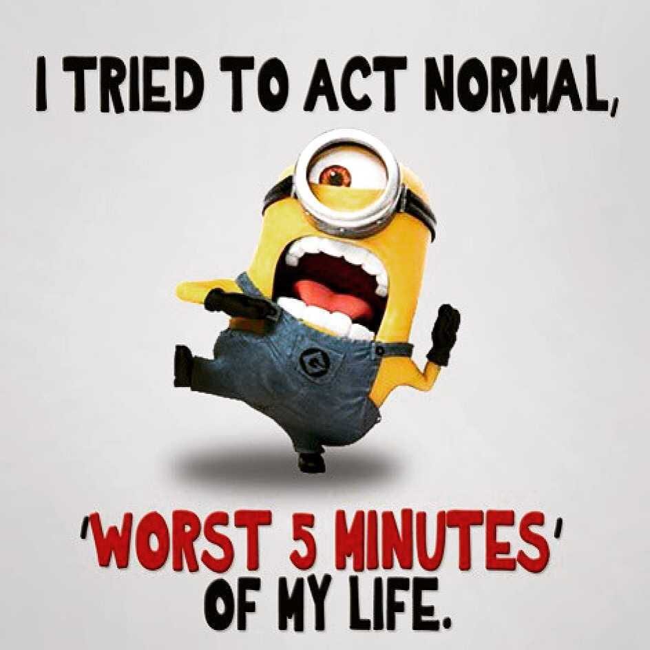 Funny Minion Memes Acting Normal