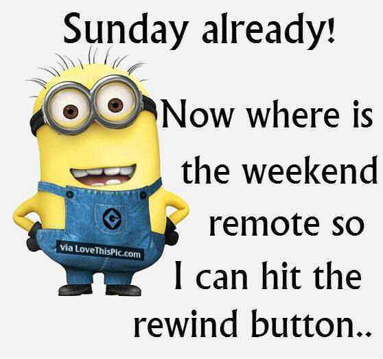 Funny Minion Pics 7 Sunday
