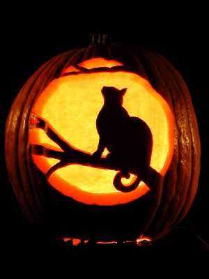 Carve Cat
