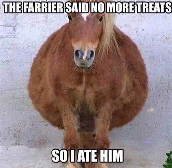 Funny Atehim