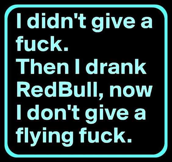 Funnyquote Flyingfuck