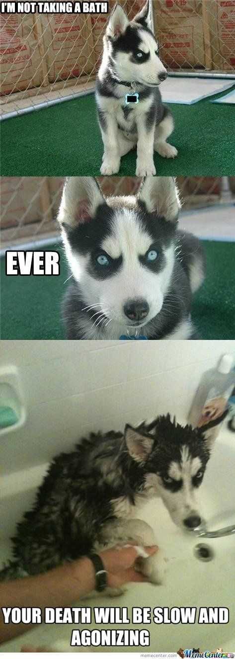 Meme Bathnever